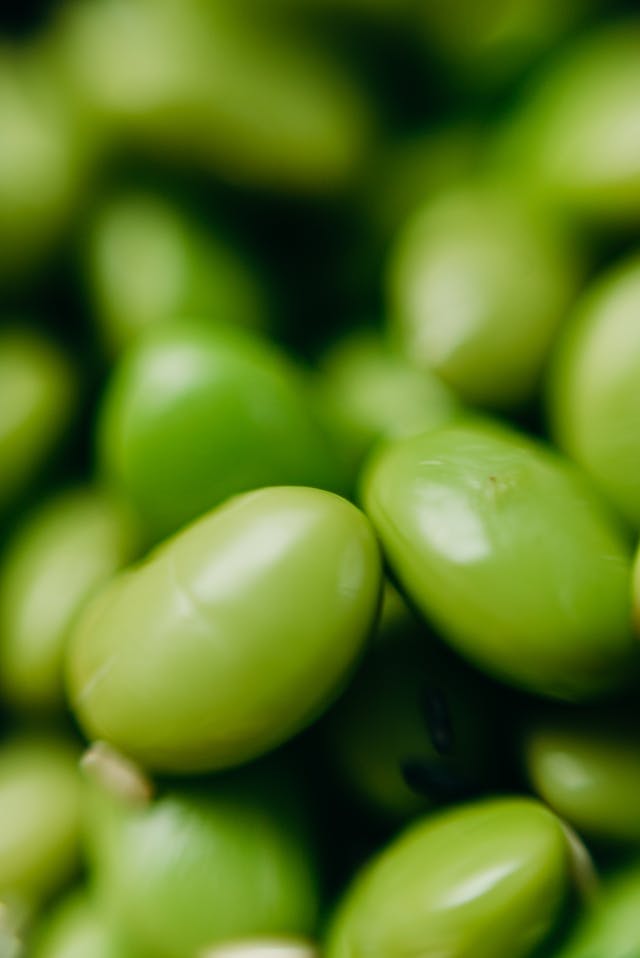 Edamame beans